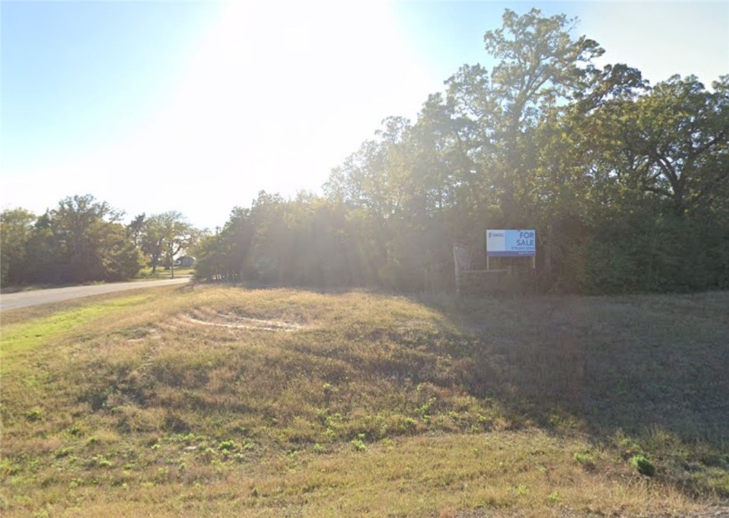 0 Foster Road Bryan, TX 77807 - Photo 5 of 7 a view of mountains