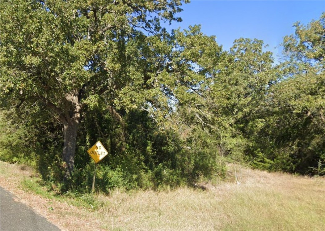 0 Foster Road Bryan, TX 77807 - Photo 7 of 7 a view of a tree in a yard