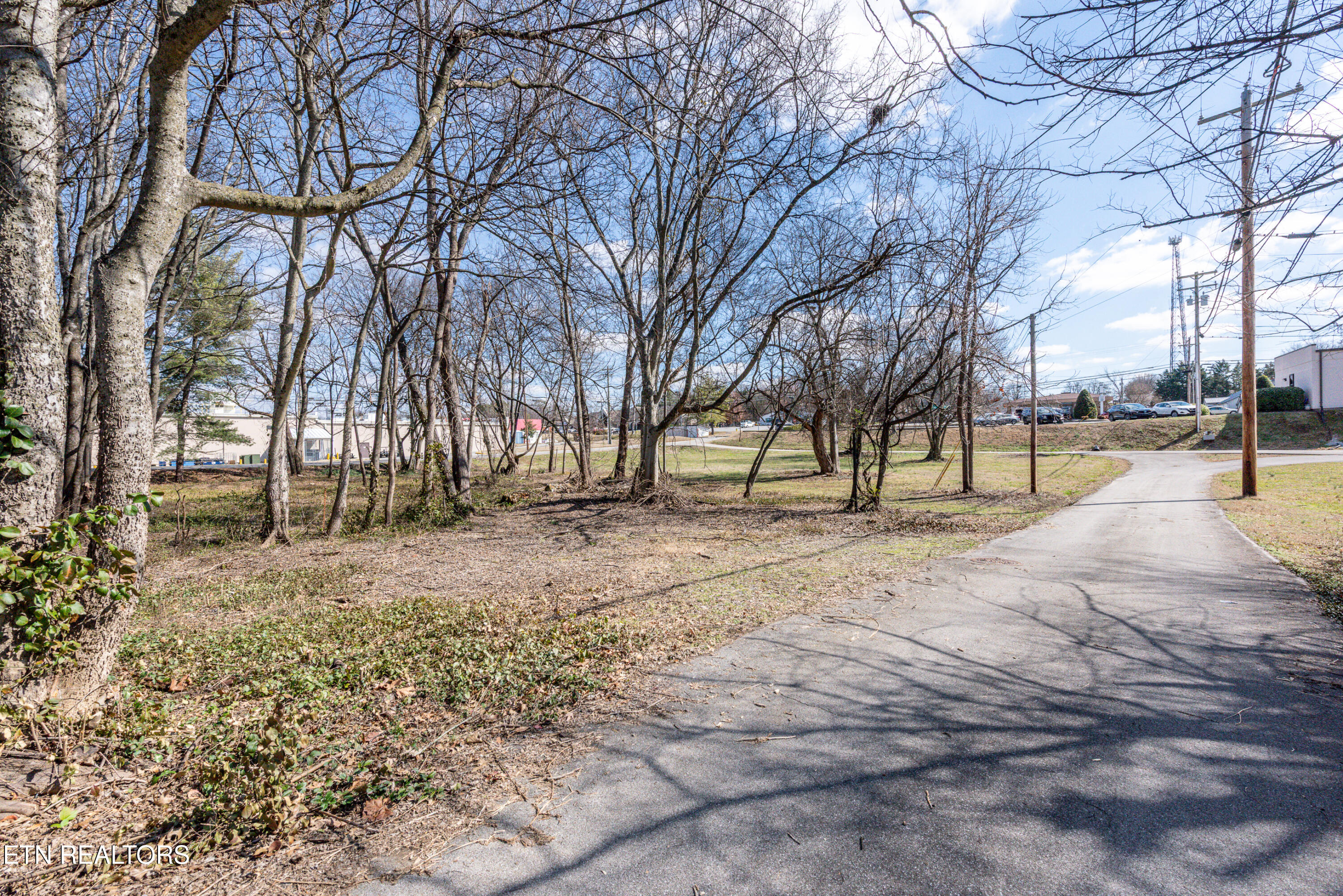 250 South Rankin Road Alcoa, TN 37701 - Photo 11 of 16 _DSC5159