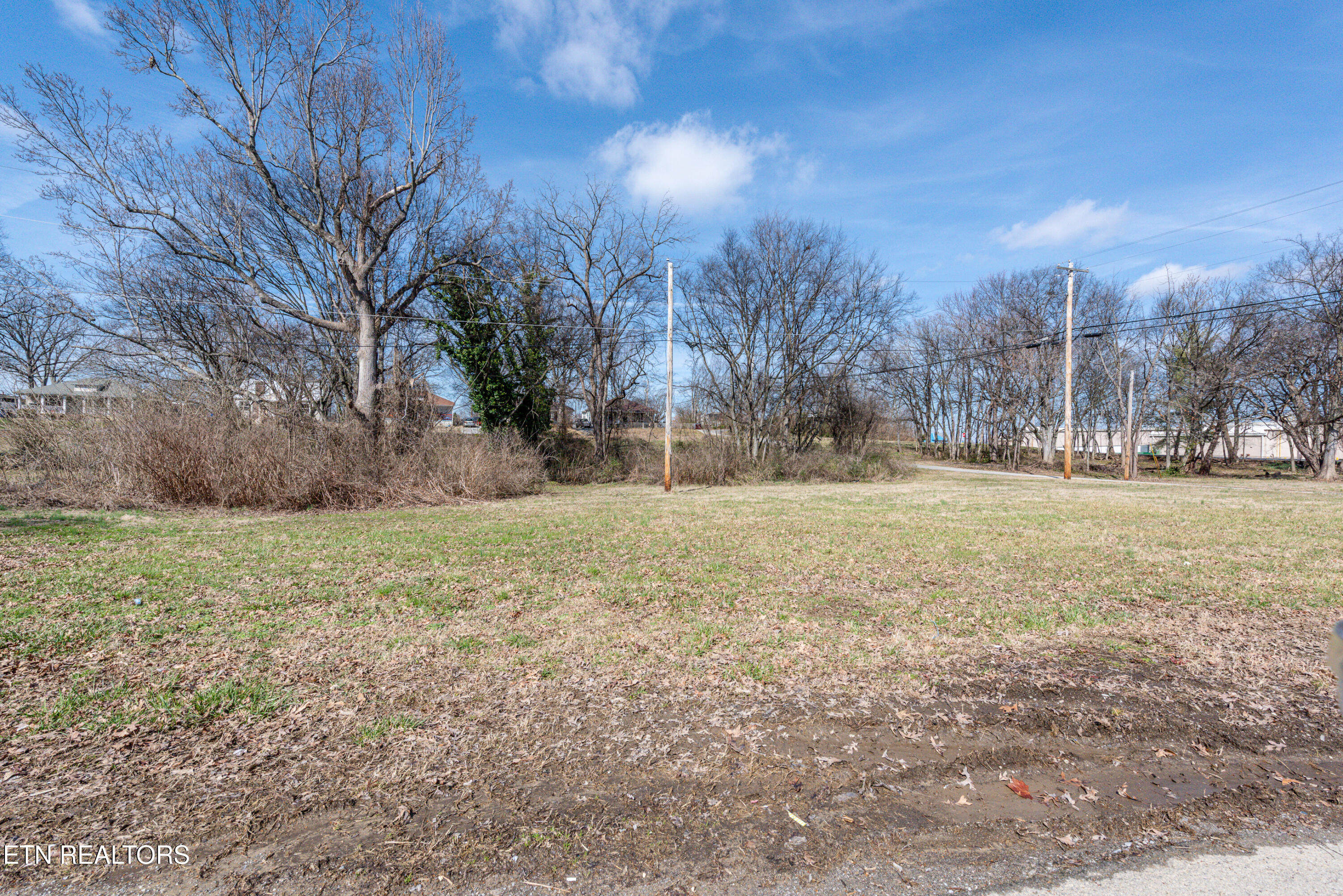 250 South Rankin Road Alcoa, TN 37701 - Photo 12 of 16 _DSC5160