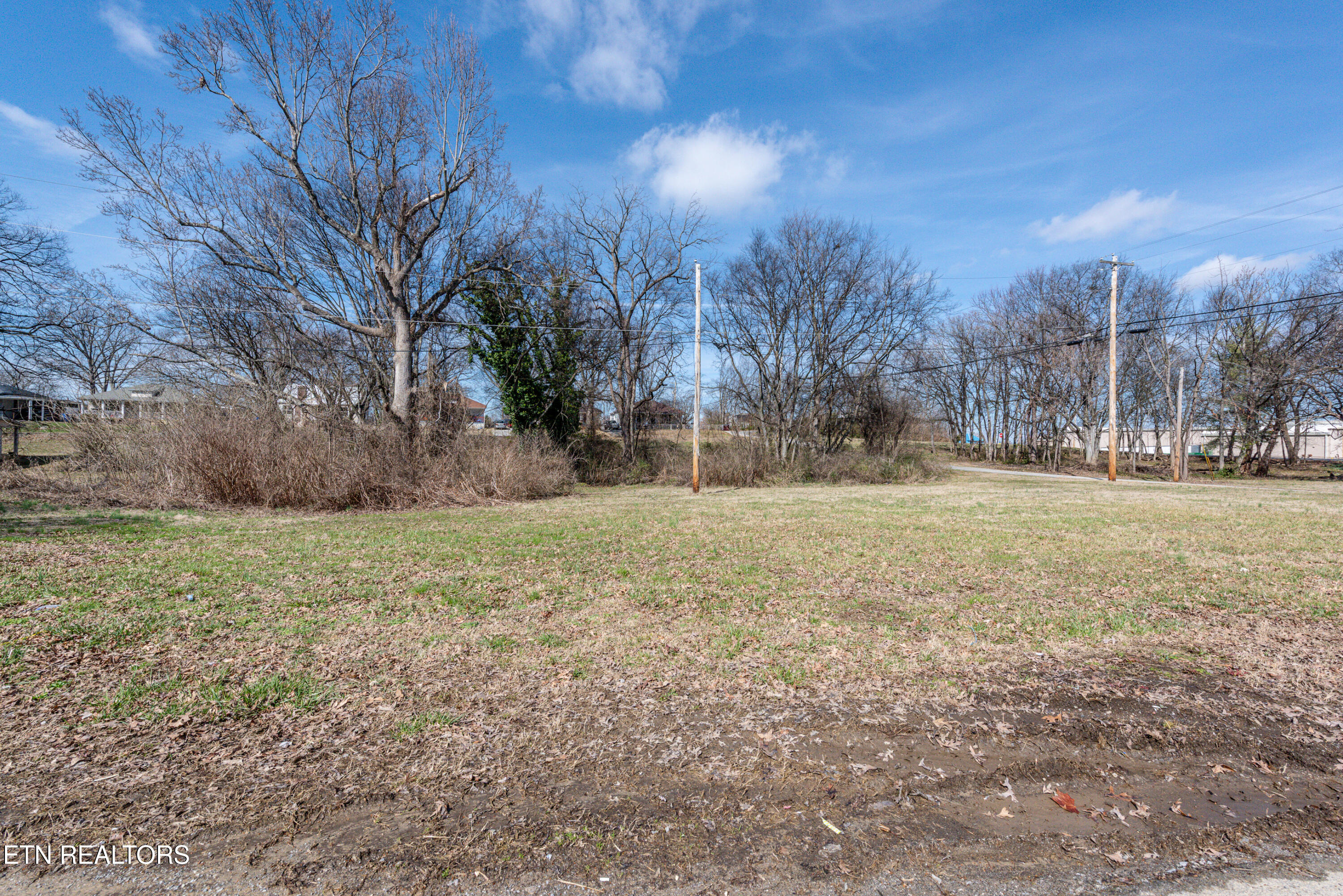 250 South Rankin Road Alcoa, TN 37701 - Photo 13 of 16 _DSC5161