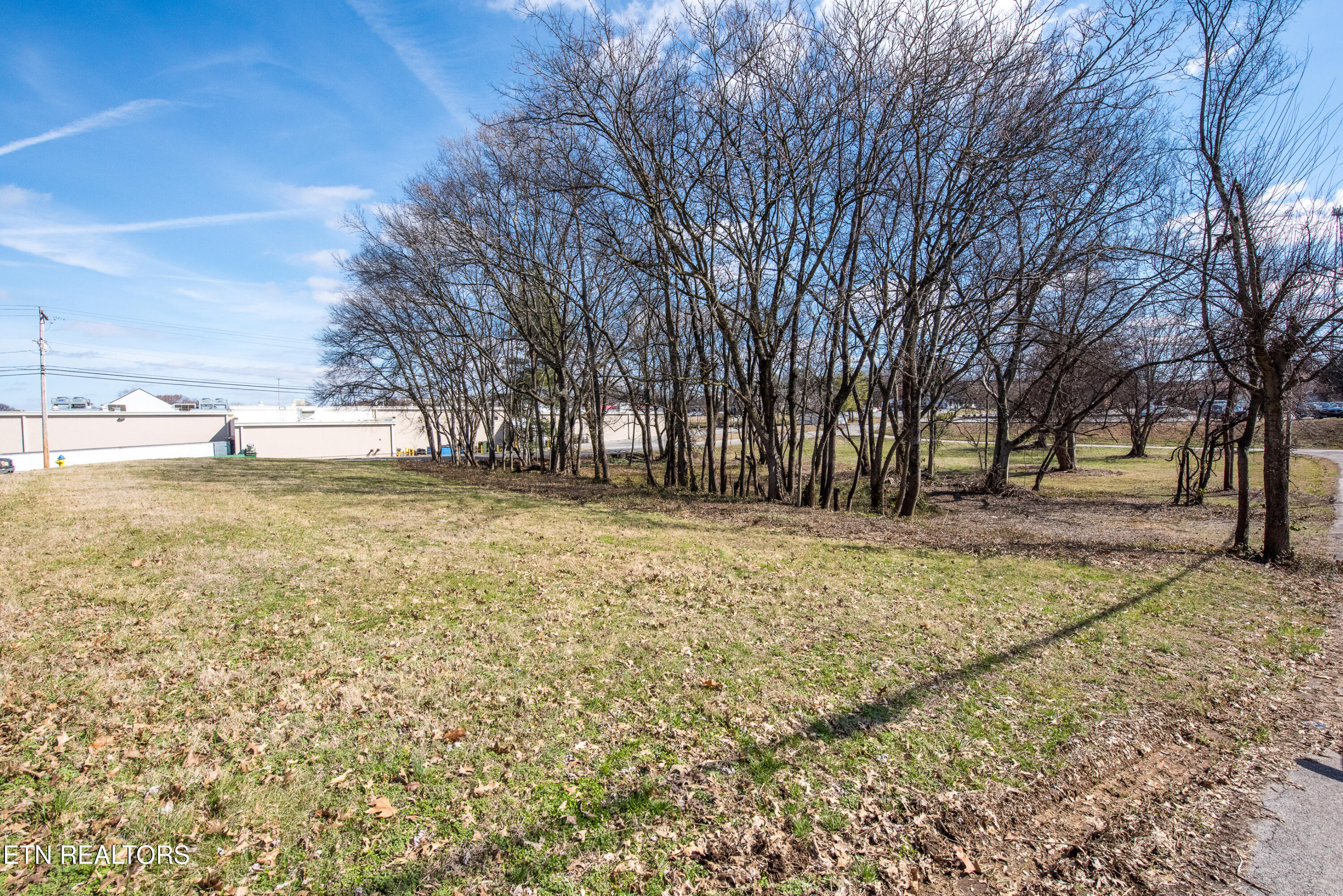 250 South Rankin Road Alcoa, TN 37701 - Photo 7 of 16 _DSC5155