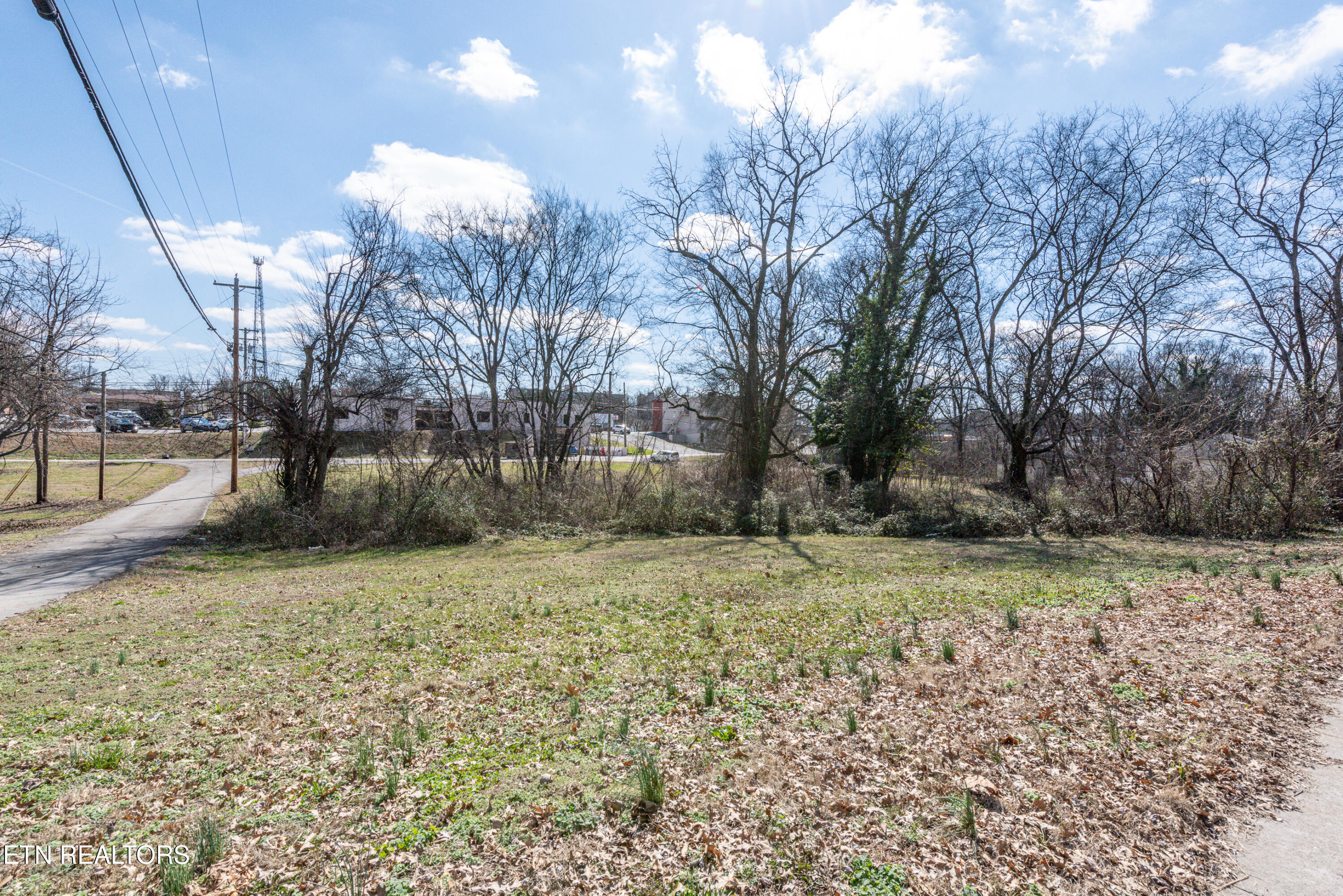 250 South Rankin Road Alcoa, TN 37701 - Photo 9 of 16 _DSC5157