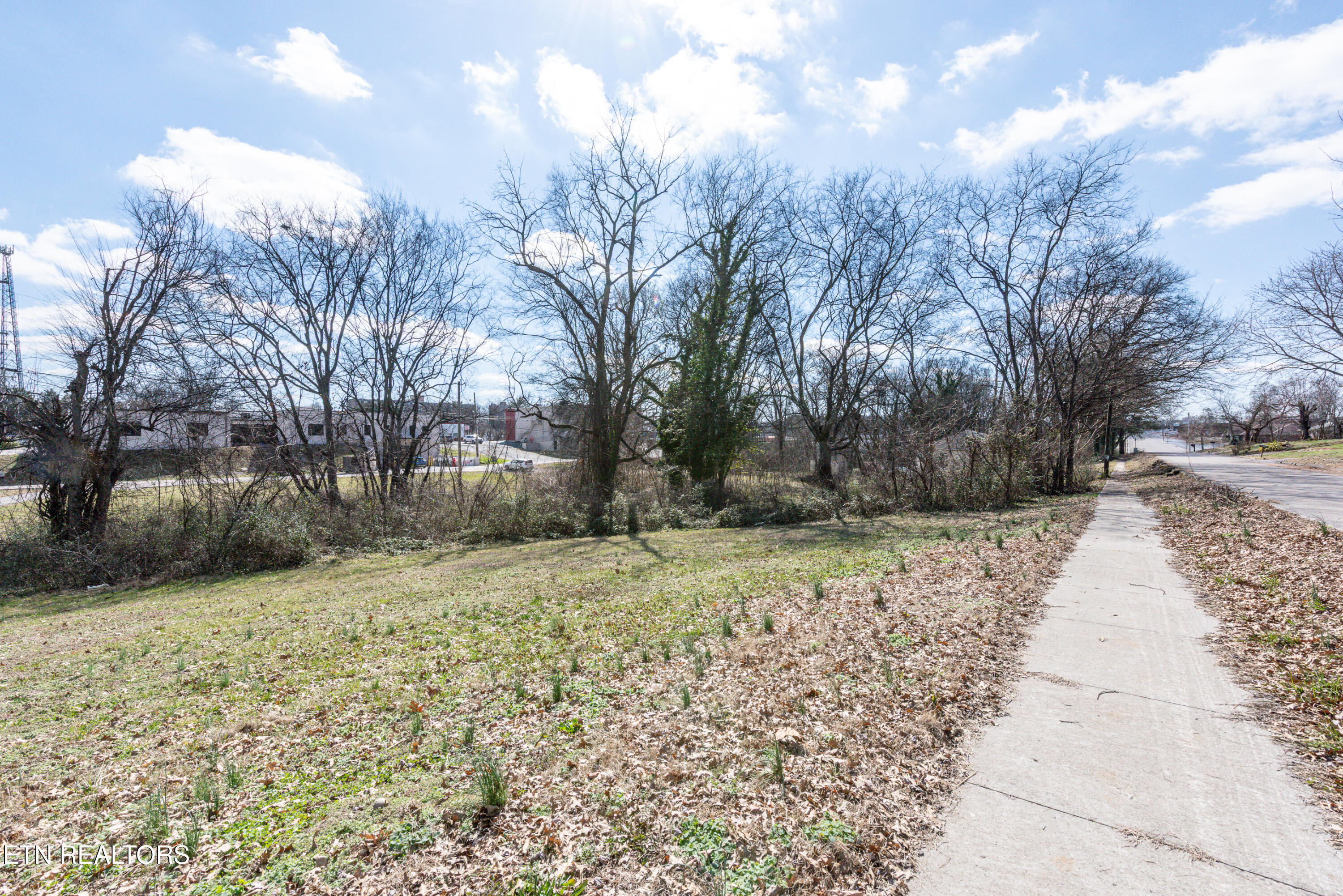 250 South Rankin Road Alcoa, TN 37701 - Photo 10 of 16 _DSC5158