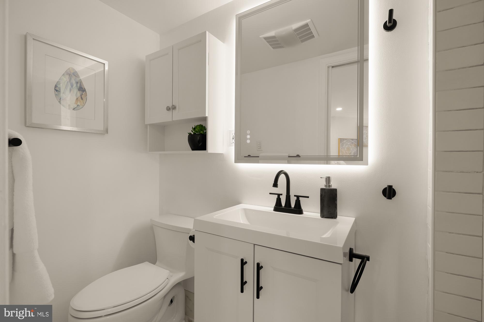 1737 Park Road Northwest Washington, DC 20010 - Photo 41 of 42 Bathroom 2
