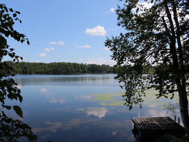 4750 Currie Lake Road Harshaw, WI 54529 - Photo 10 of 20 Gallery Image 10