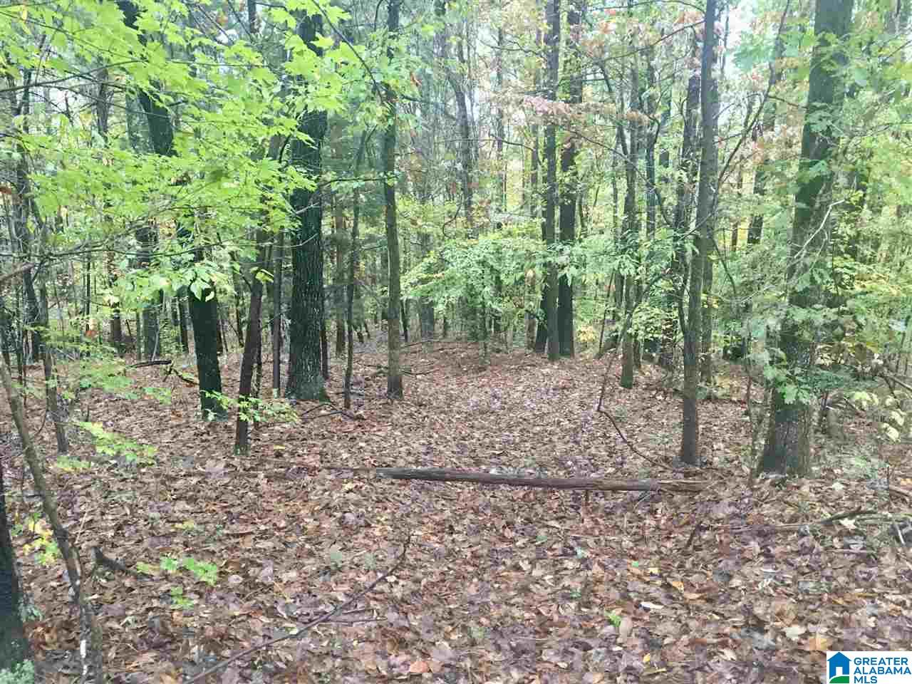 6761 Highway 10 Montevallo, AL 35115 - Photo 38 of 45