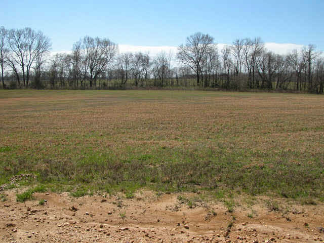 0 Scotland Road, Unit LOT 4 Benton, MS 39039 - Photo 1 of 1 Photo 1