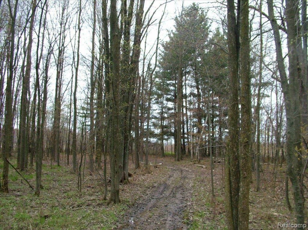 3759 West Harrington Road Croswell, MI 48422 - Photo 4 of 12 DSCF4383