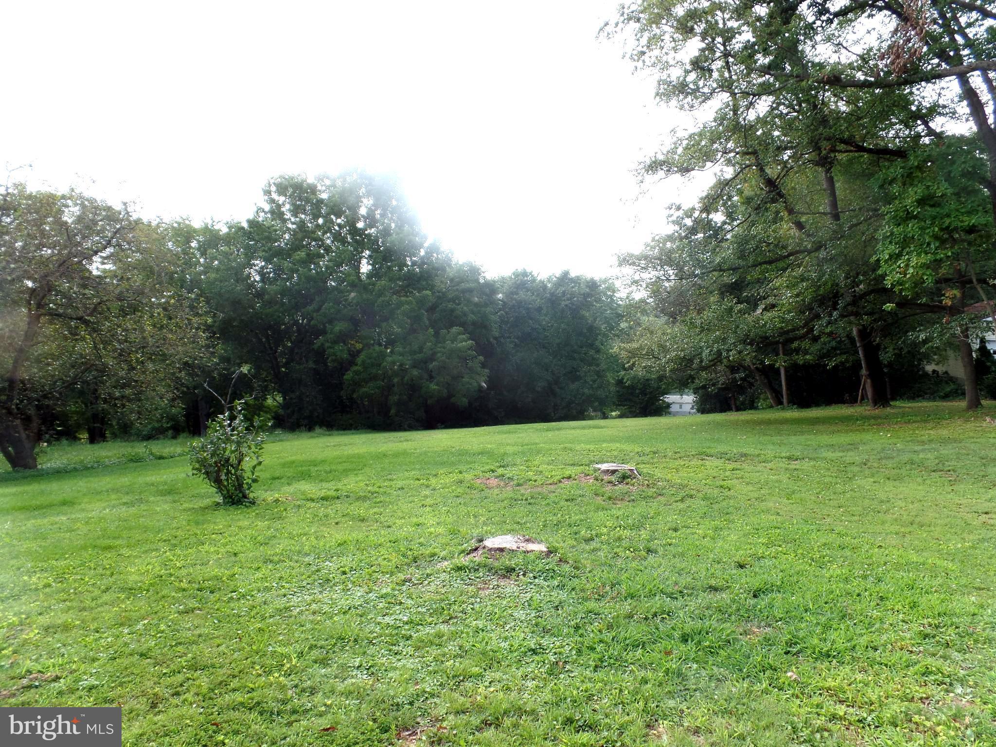 1636 Exeter Road Westminster, MD 21157 - Photo 22 of 23 a green field with lots of trees
