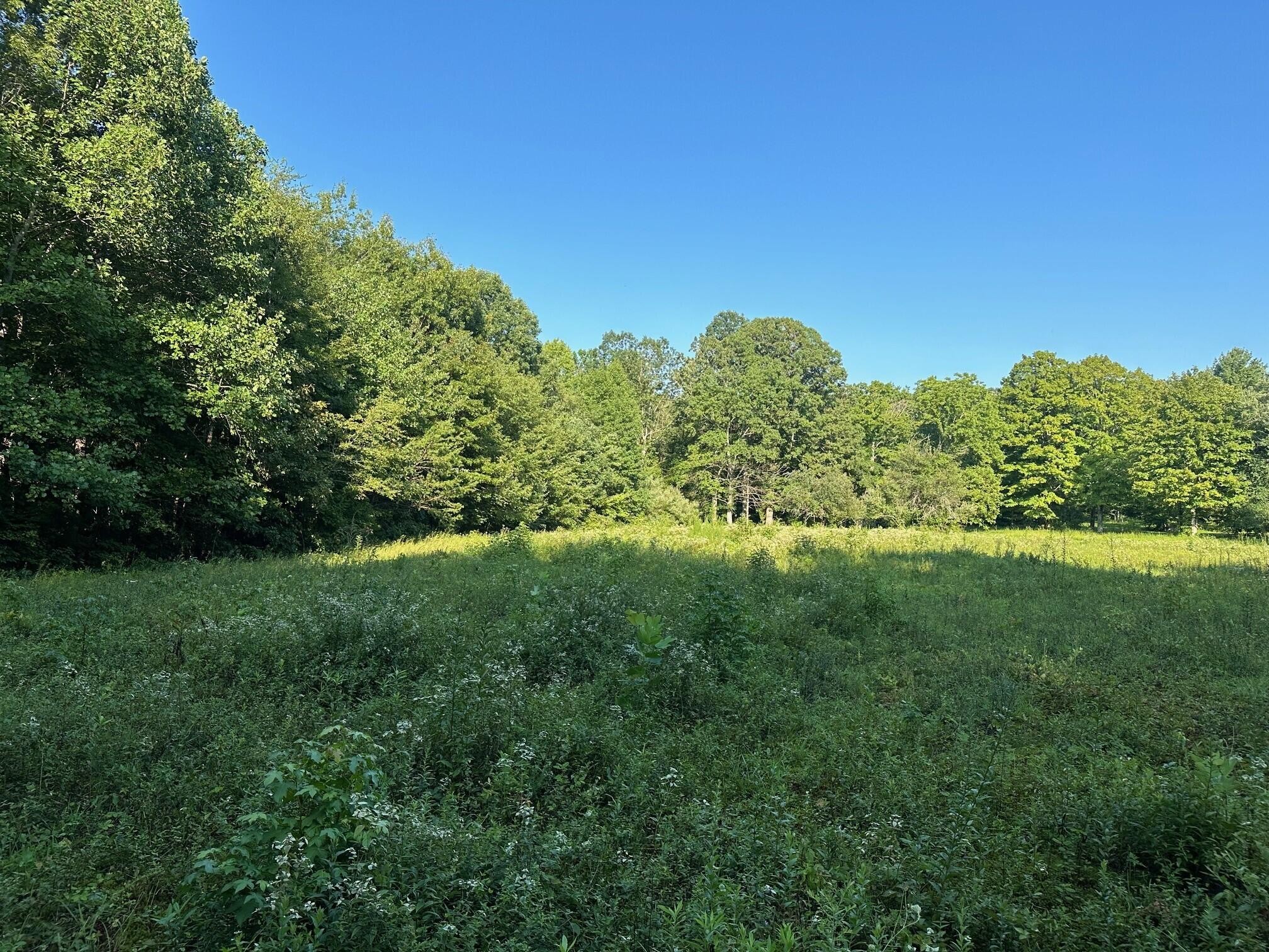 8 Prater Road Pikeville, TN 37367 - Photo 11 of 19 Gallery Image 11