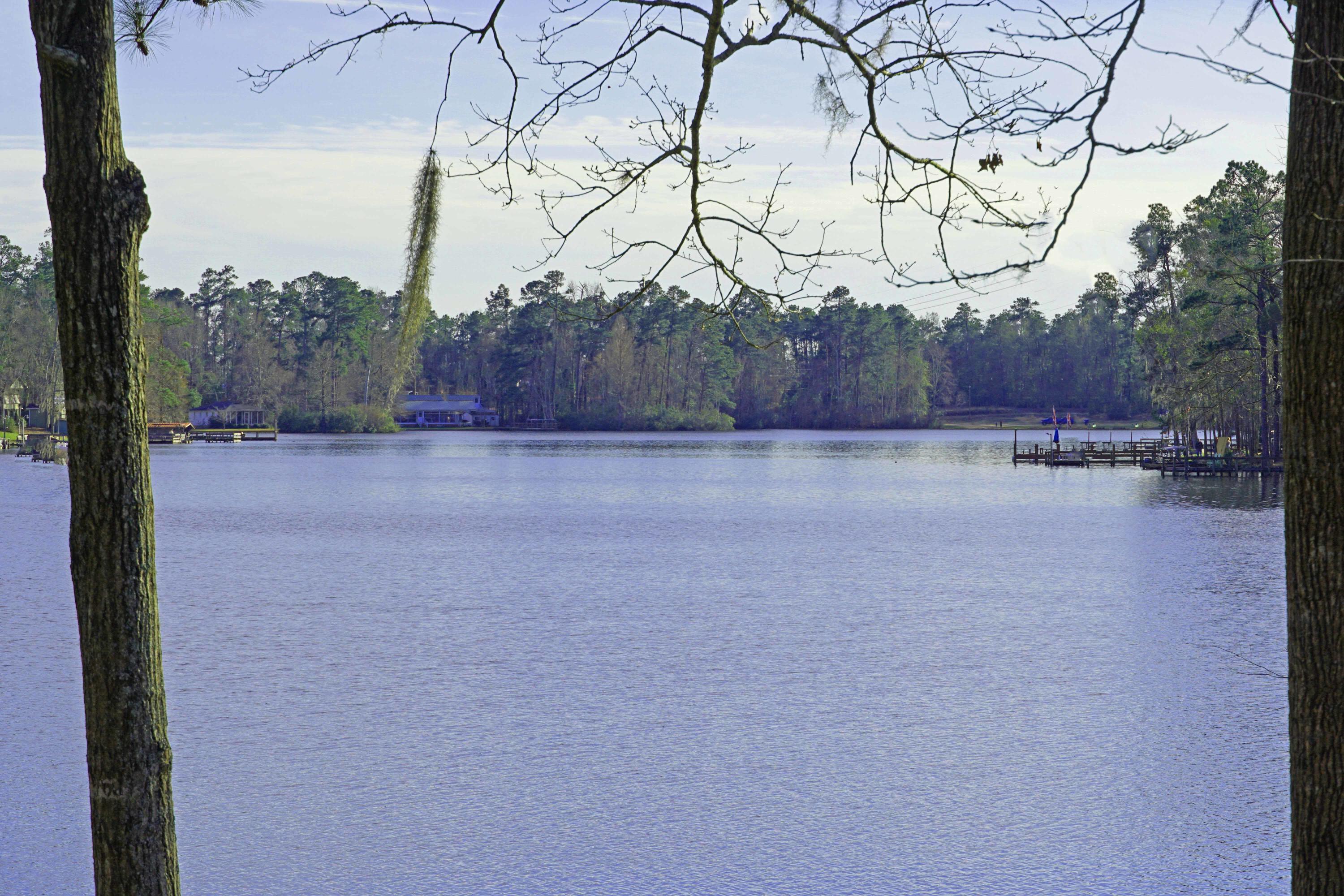 2110 Stukes Road Manning, SC 29102 - Photo 23 of 25 Stukes Water 5