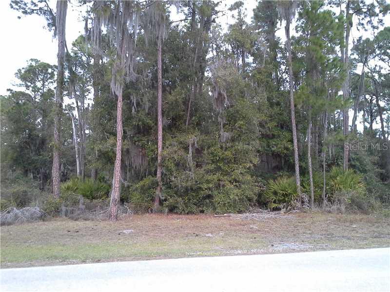 Eagles Point Leesburg, FL 34788 - Photo 1 of 1 a black and white photo of a forest