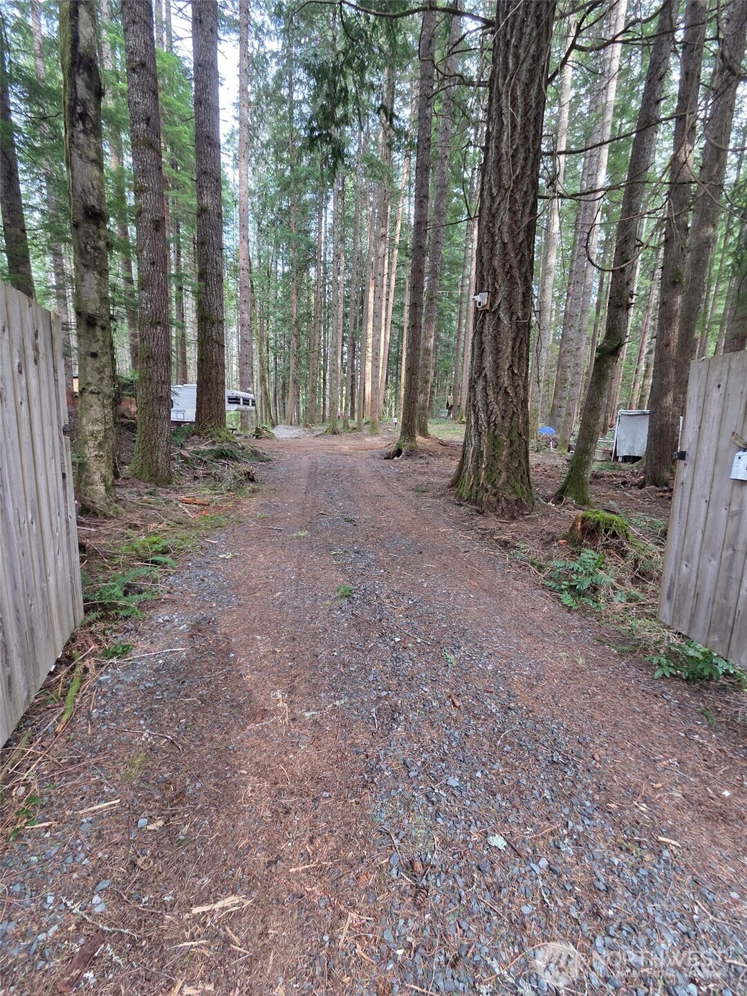 56207 Kernahan Road East Ashford, WA 98304 - Photo 10 of 13