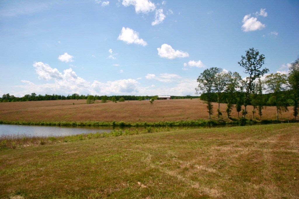 3988 St Andrews Road Dillwyn, VA 23936 - Photo 56 of 63 Gallery Image 56