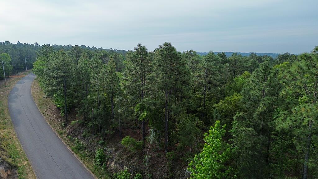 0 Mt Zion Road, Unit 5 Trenton, SC 29847 - Photo 18 of 26
