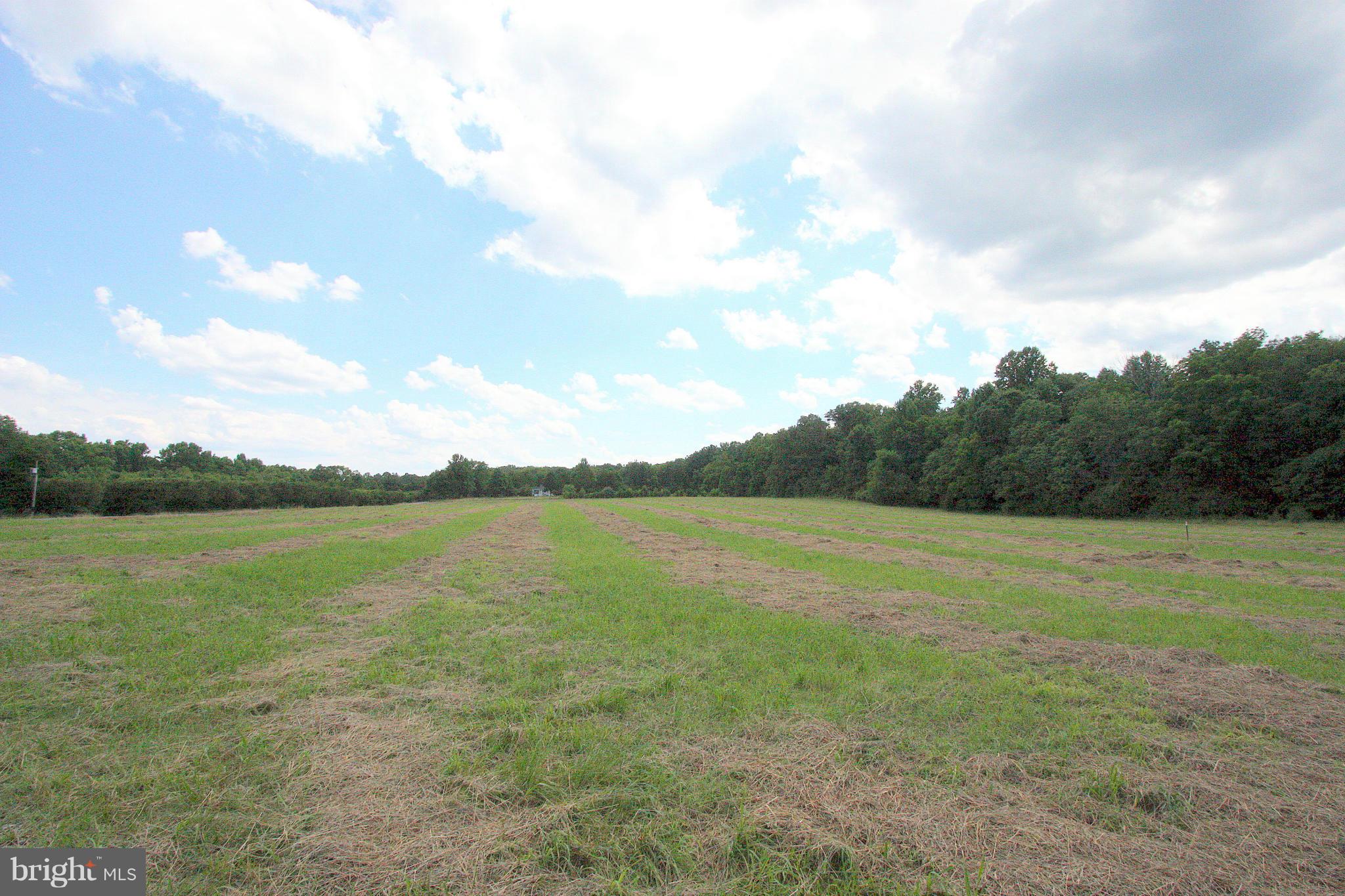 1 Old Ridge Road Doswell, VA 23047 - Photo 2 of 10 Exterior (General)