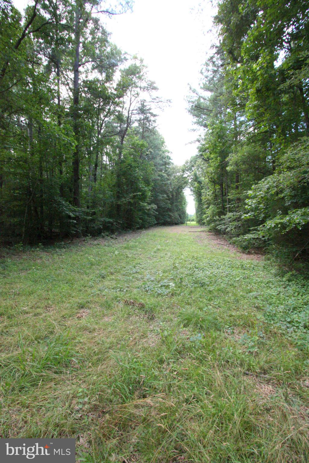 1 Old Ridge Road Doswell, VA 23047 - Photo 5 of 10 Exterior (General)