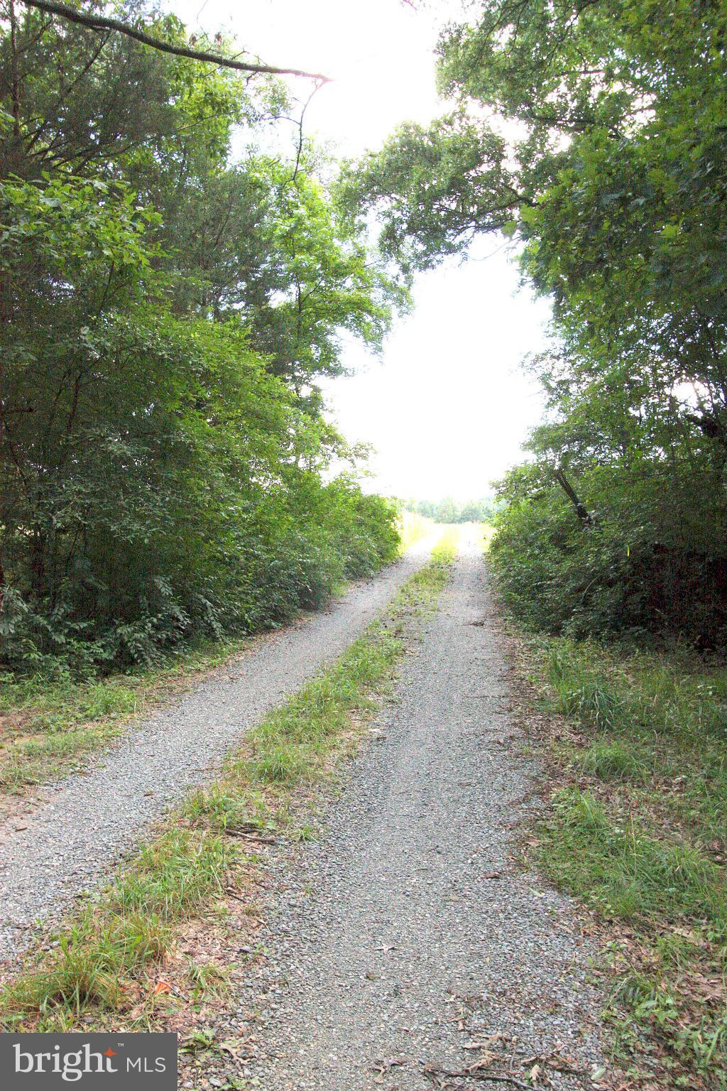 1 Old Ridge Road Doswell, VA 23047 - Photo 6 of 10 Exterior (General)