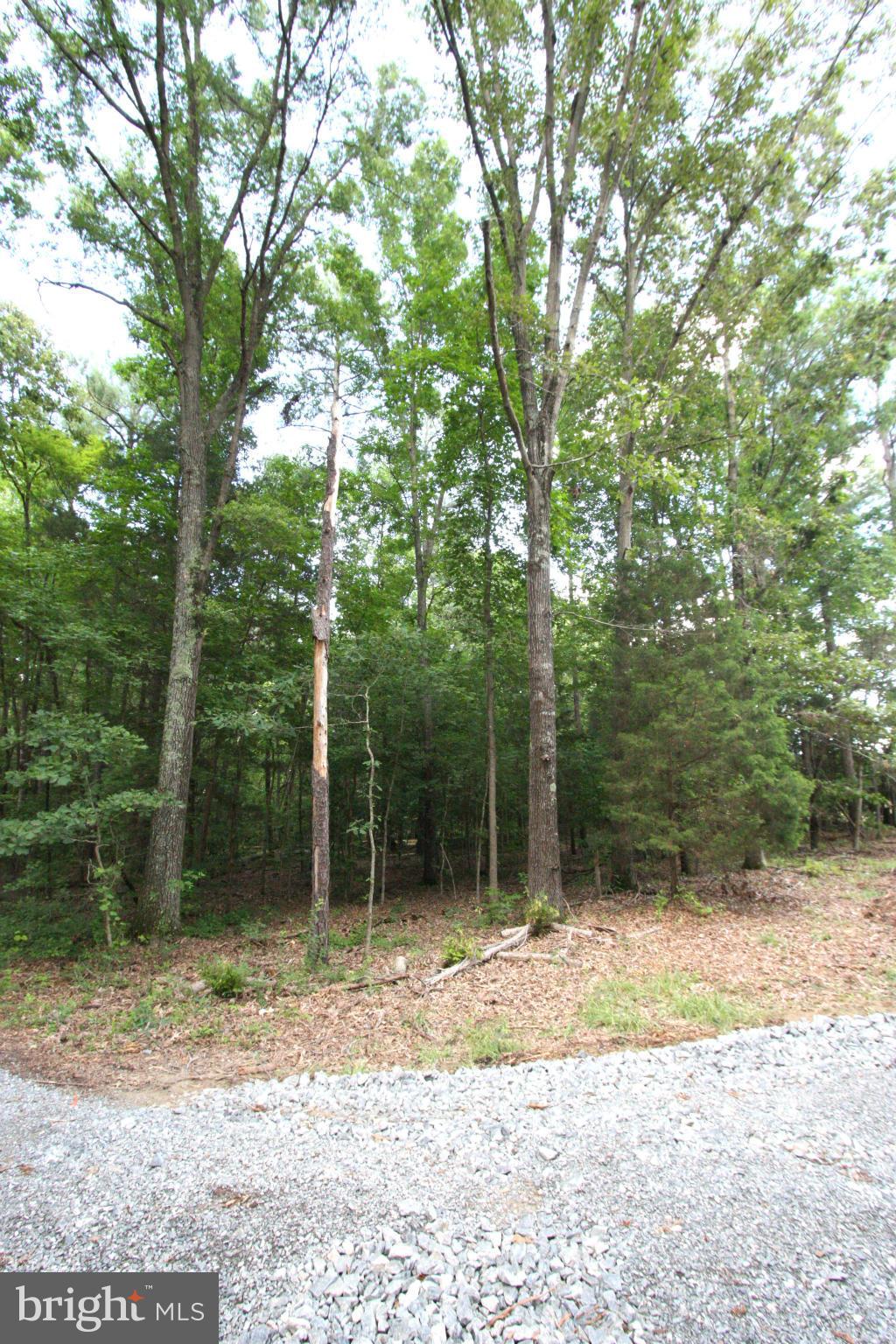 1 Old Ridge Road Doswell, VA 23047 - Photo 8 of 10 Exterior (General)