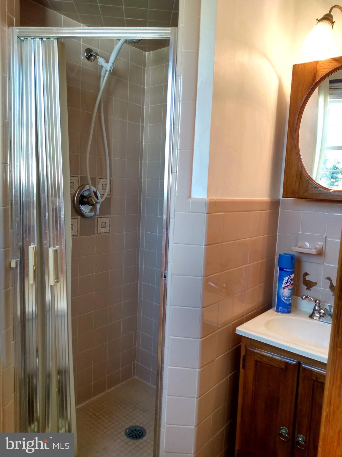 228 Mill Road Chambersburg, PA 17201 - Photo 13 of 32 Master Bath