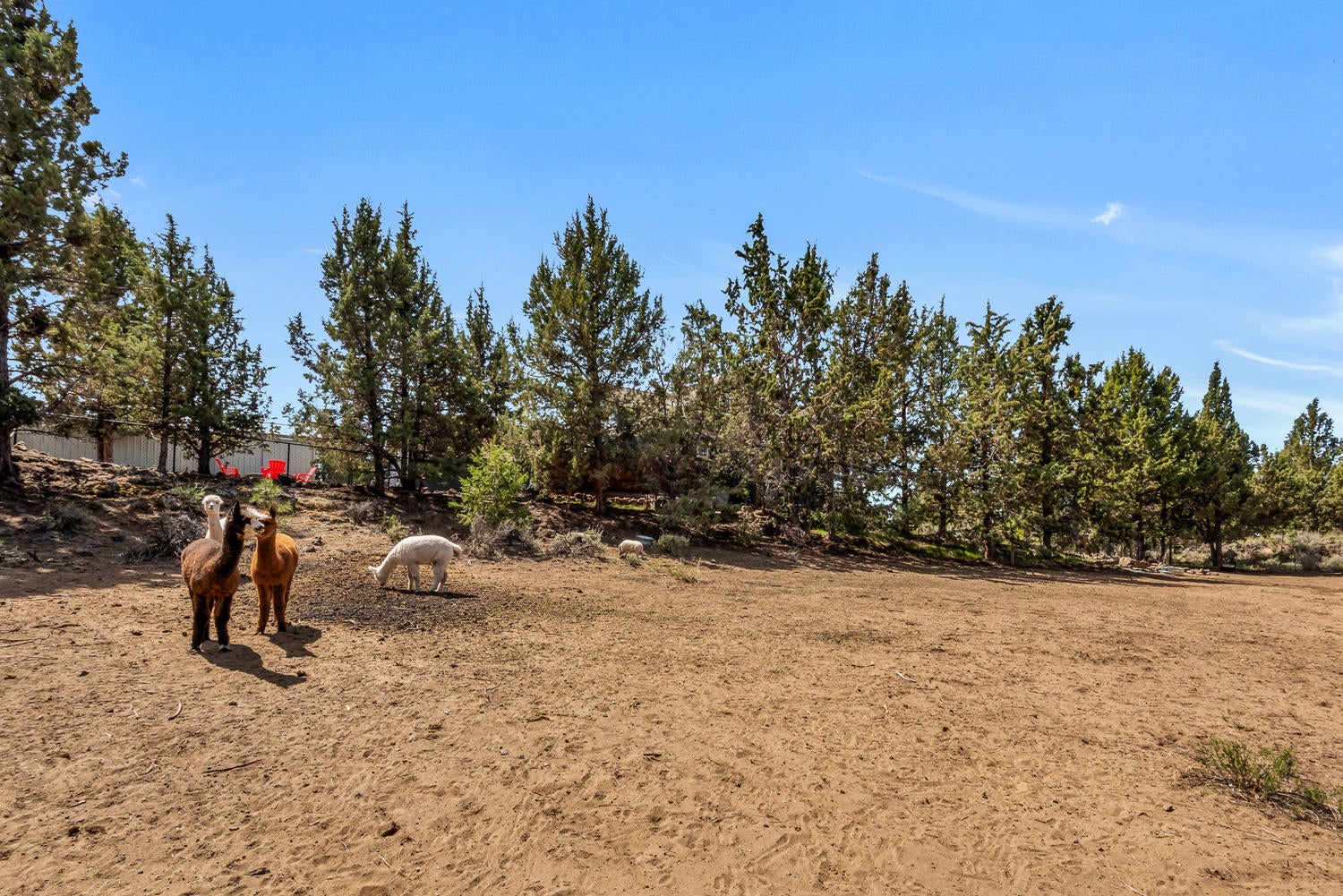63410 Overtree Road Bend, OR 97701 - Photo 48 of 52 49