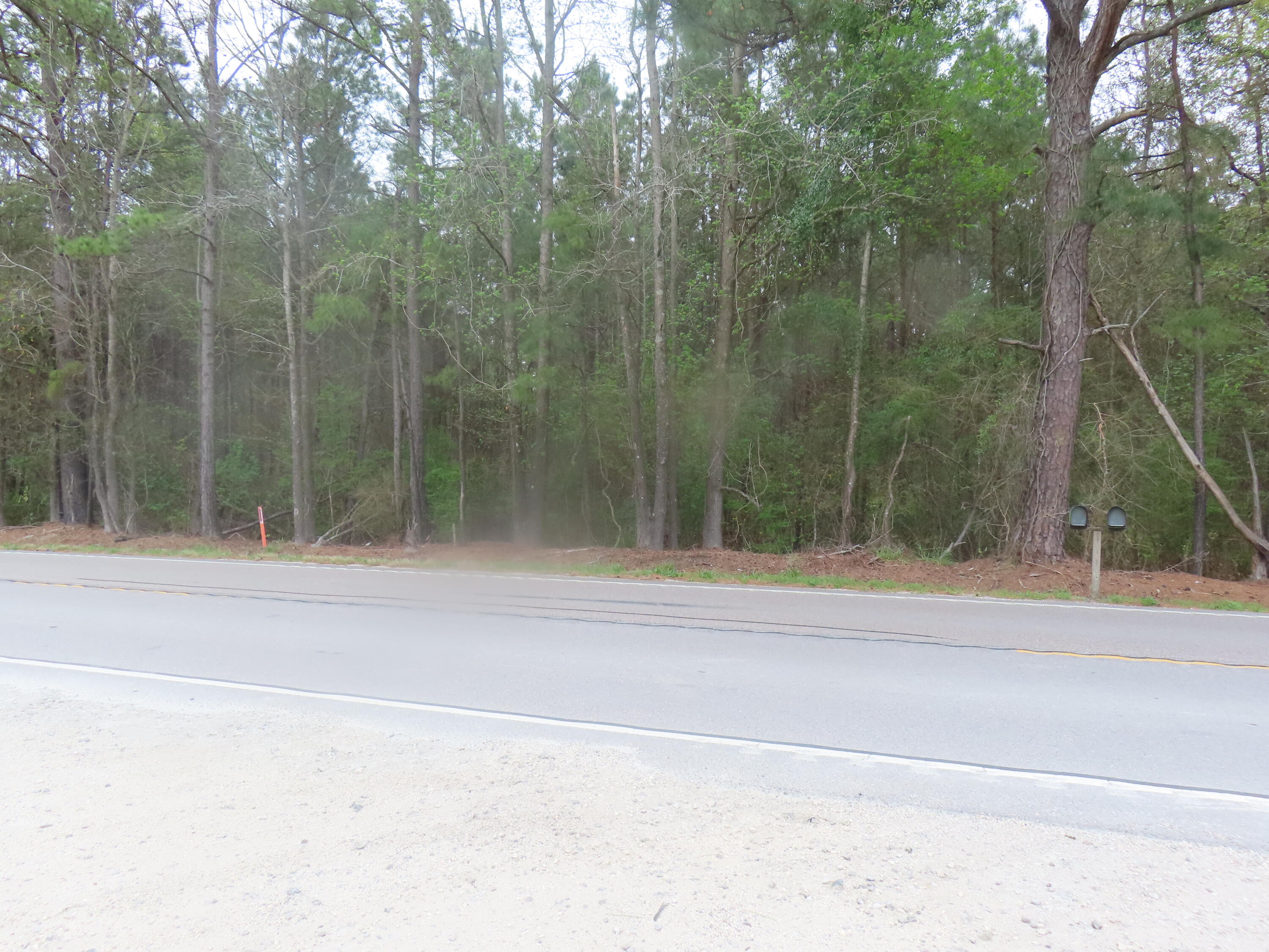 0 County Line Road Cross, SC 29436 - Photo 3 of 3 County Line Rd (6)