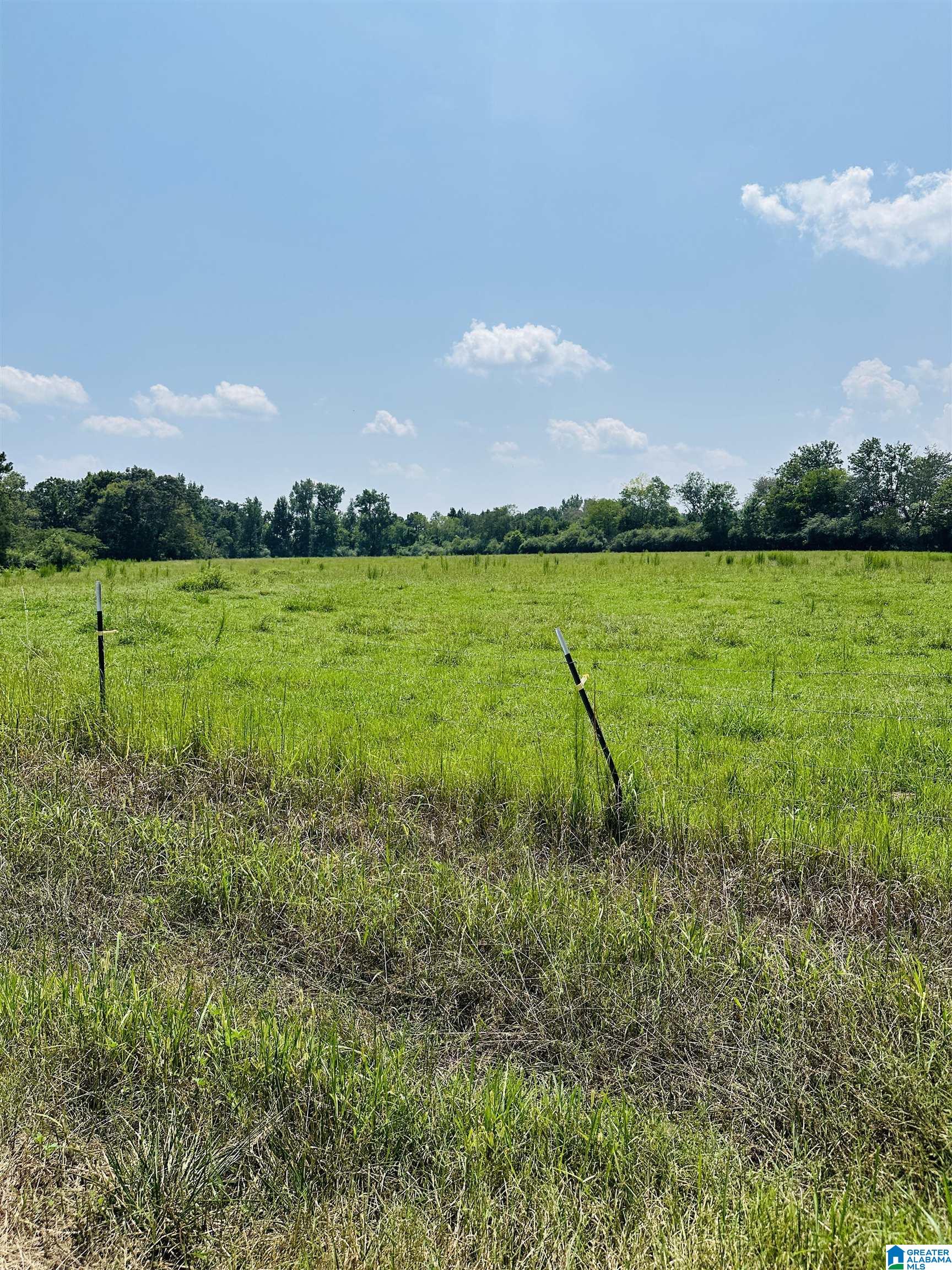 9500 Cato Road, Unit 1 Warrior, AL 35180 - Photo 4 of 6