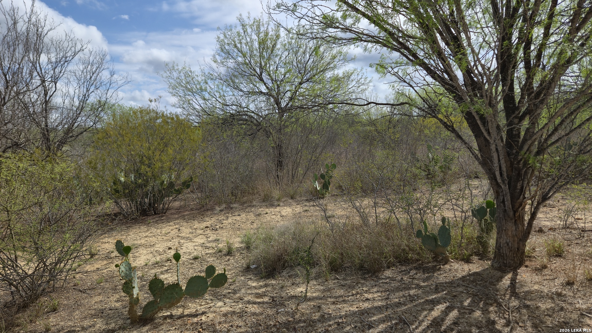 Tbd Talamantez Road Carrizo Springs, TX 78834 - Photo 4 of 6
