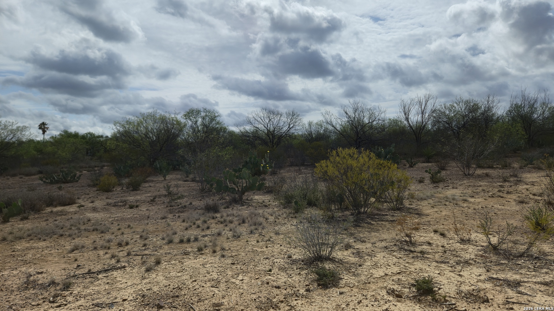 Tbd Talamantez Road Carrizo Springs, TX 78834 - Photo 5 of 6