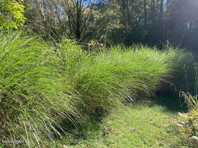 117 W Road Alford, MA 01266 - Photo 17 of 21 IMG_0110
