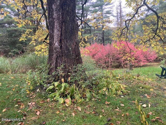 117 W Road Alford, MA 01266 - Photo 18 of 21 IMG_0390