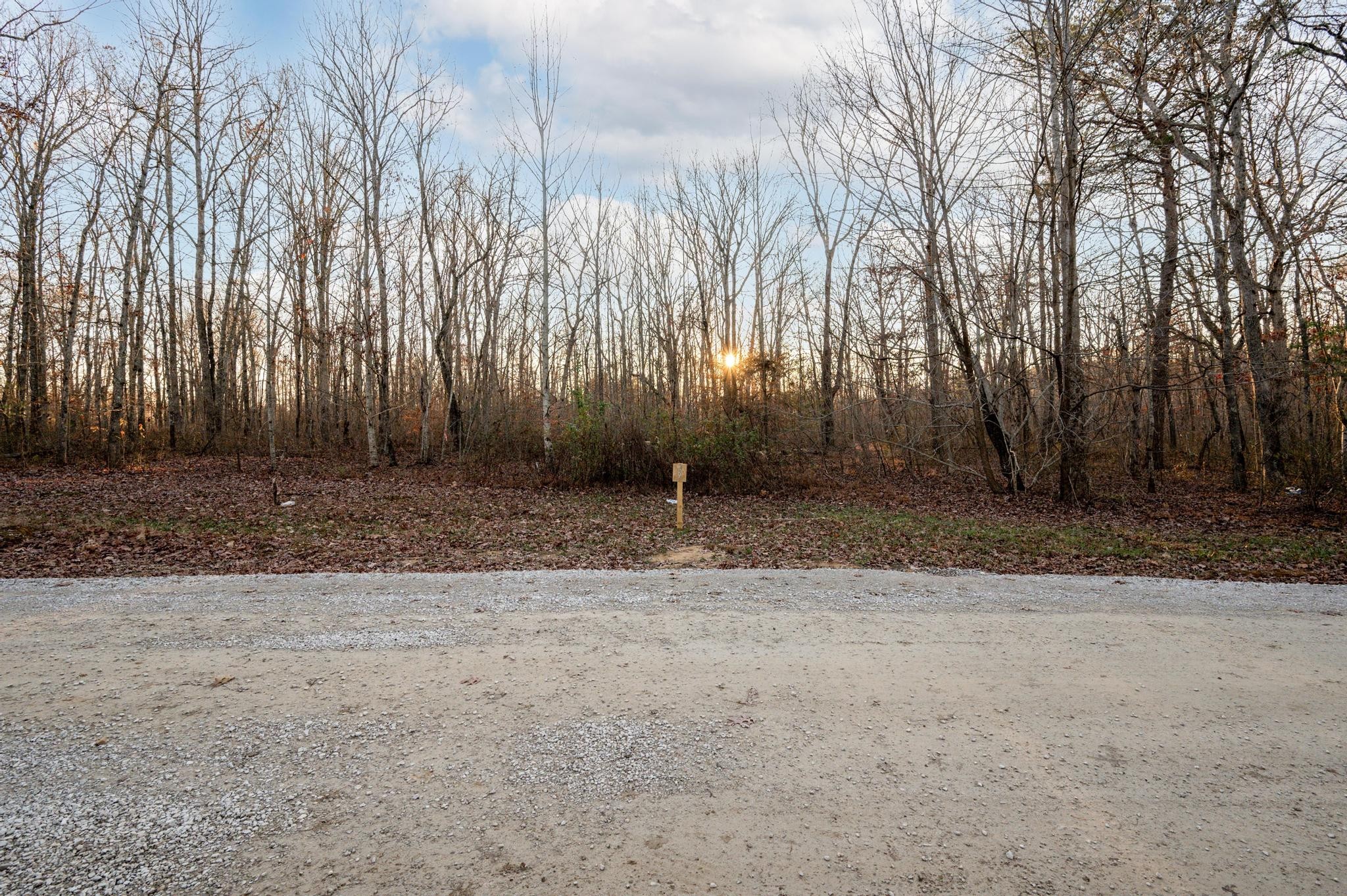 177 Sunset Bluff Monteagle, TN 37356 - Photo 2 of 5 a backyard of a house with lots of green space