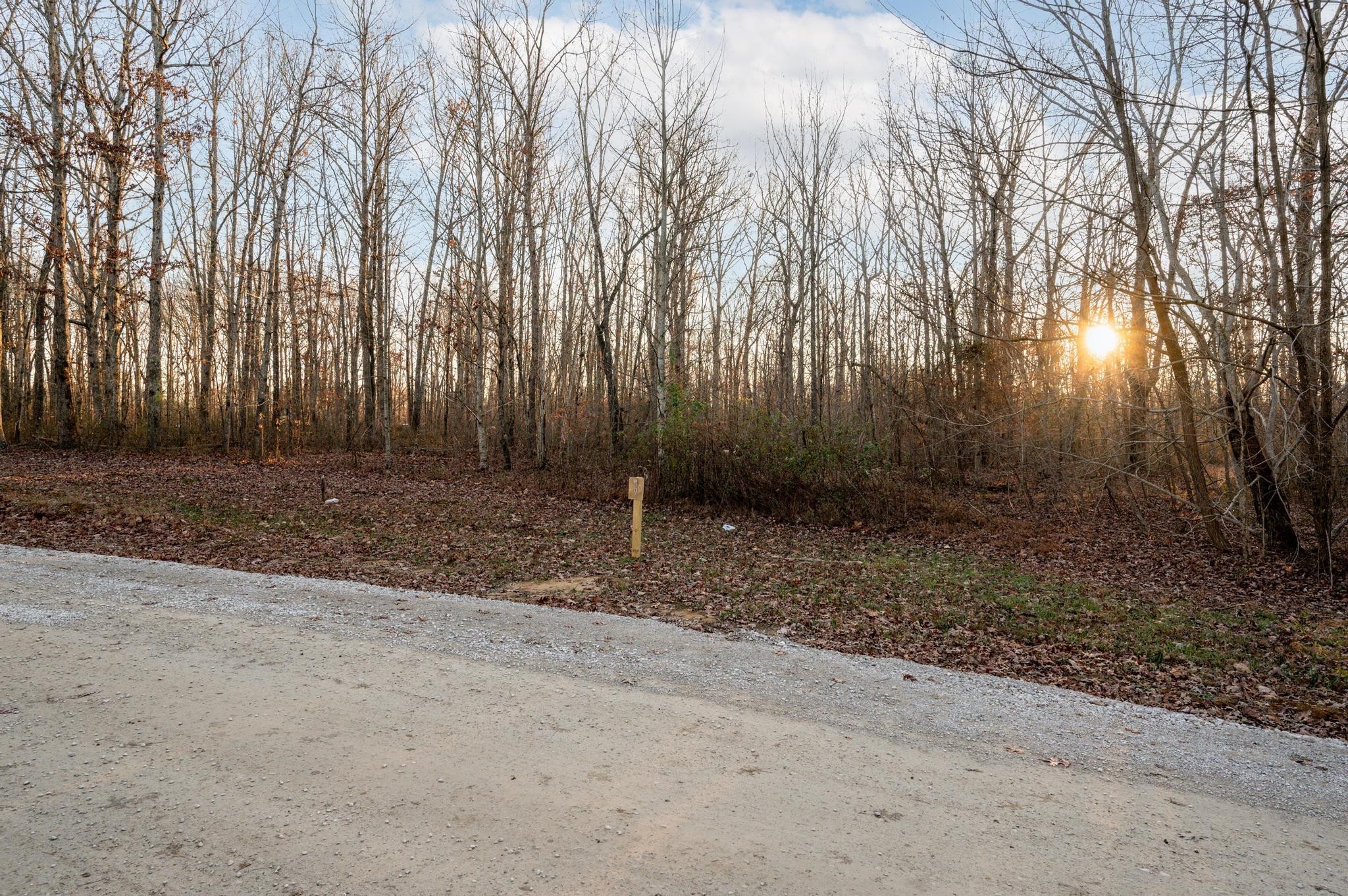 177 Sunset Bluff Monteagle, TN 37356 - Photo 4 of 5 a backyard of a house with lots of green space