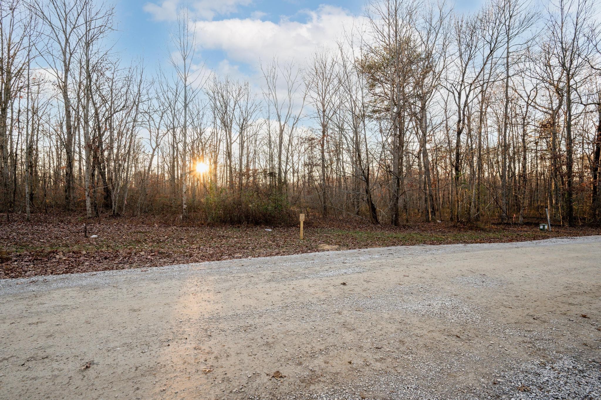 177 Sunset Bluff Monteagle, TN 37356 - Photo 5 of 5 a view of backyard space with large trees