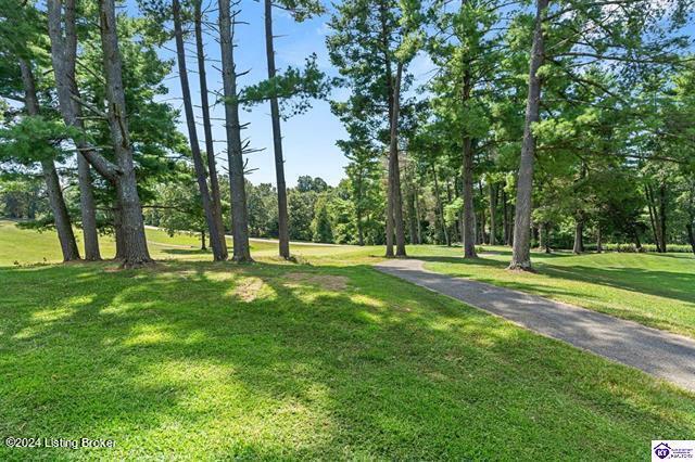 377 St Andrews Road Brandenburg, KY 40108 - Photo 52 of 53 52