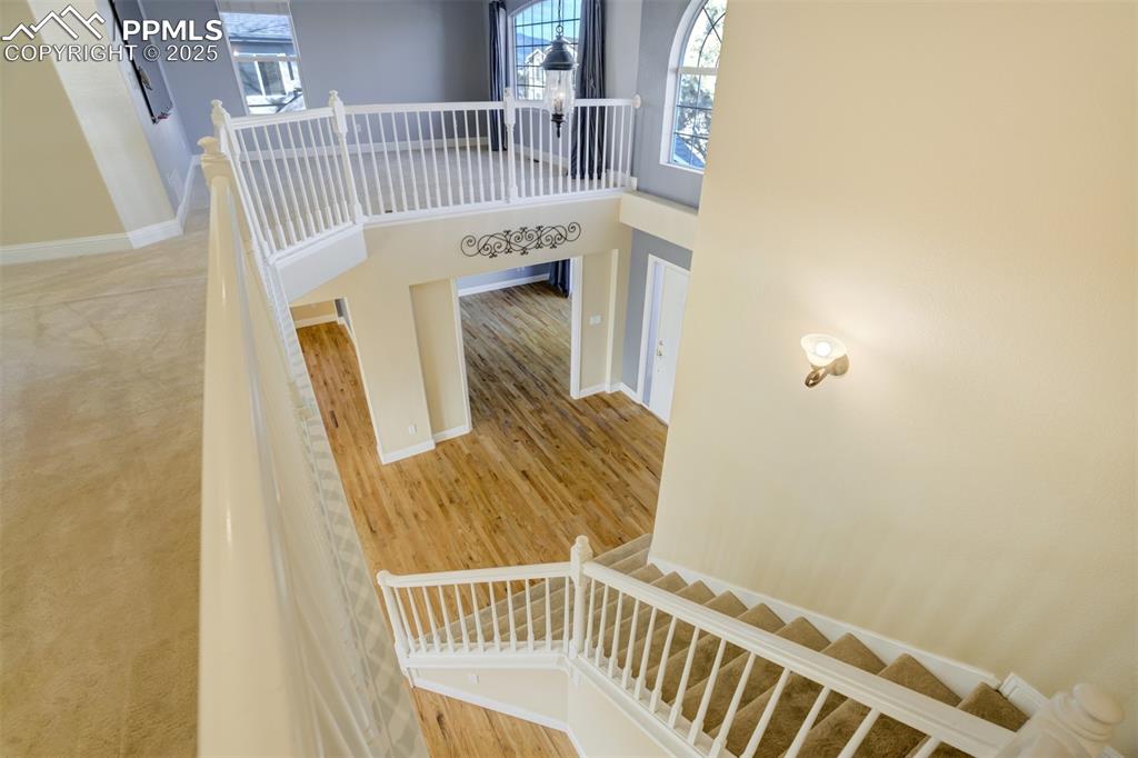 340 Fox Run Circle Colorado Springs, CO 80921 - Photo 27 of 49