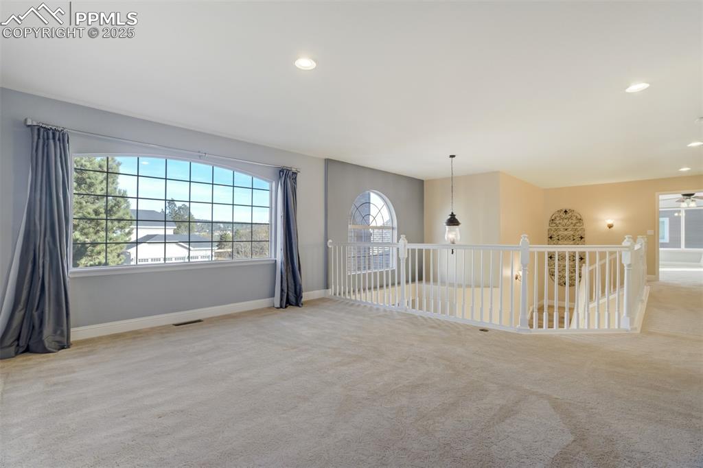 340 Fox Run Circle Colorado Springs, CO 80921 - Photo 29 of 49