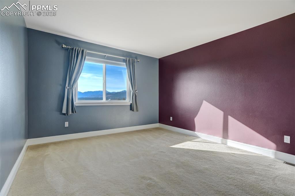 340 Fox Run Circle Colorado Springs, CO 80921 - Photo 34 of 49