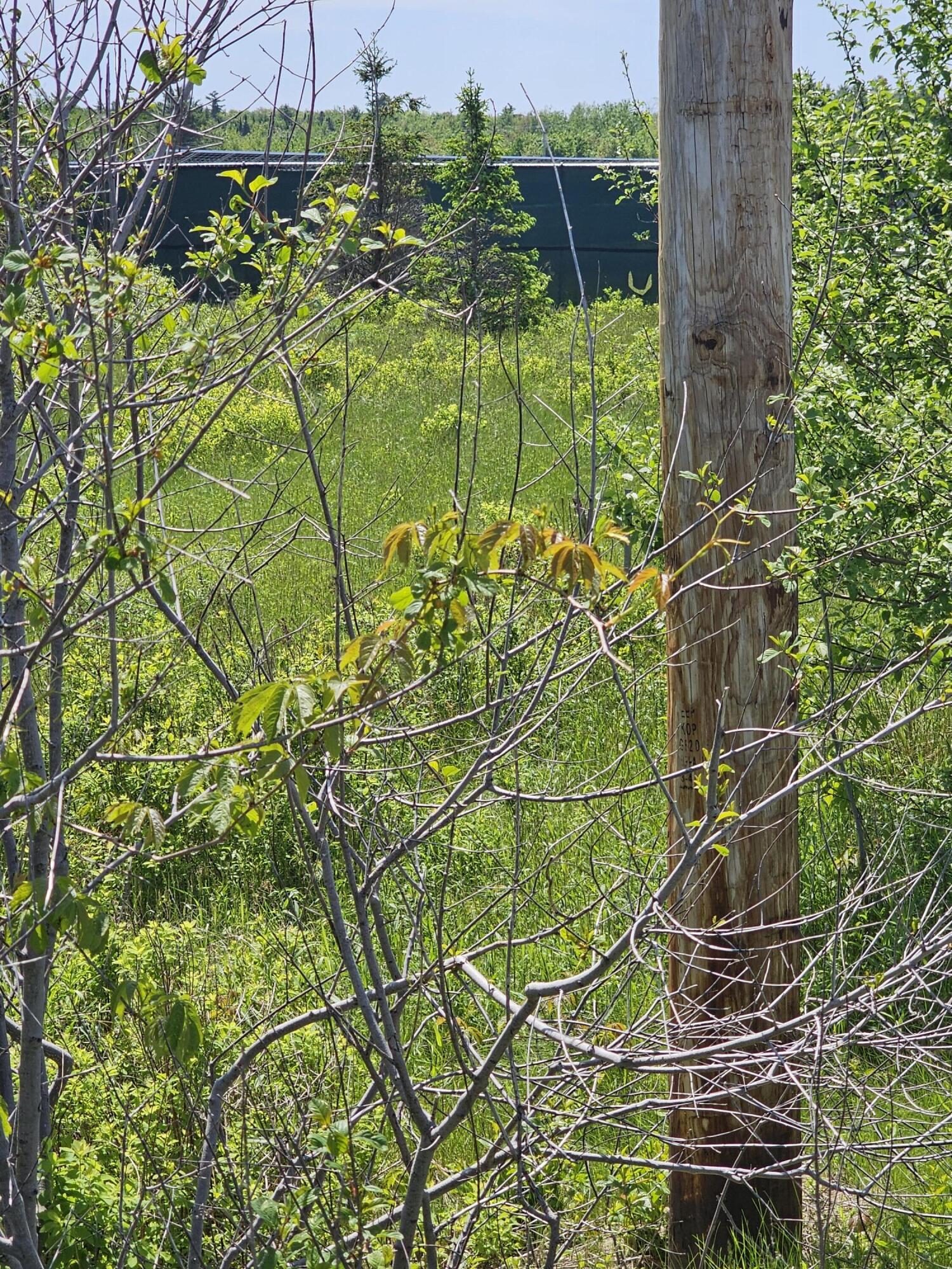 1 Main Street Palmyra, ME 04965 - Photo 16 of 25 20250603_140239