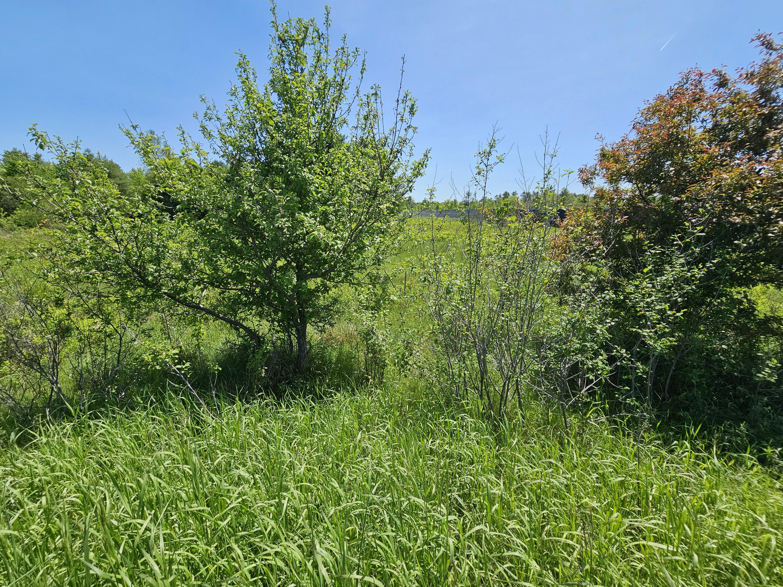 1 Main Street Palmyra, ME 04965 - Photo 17 of 25 20250603_140253