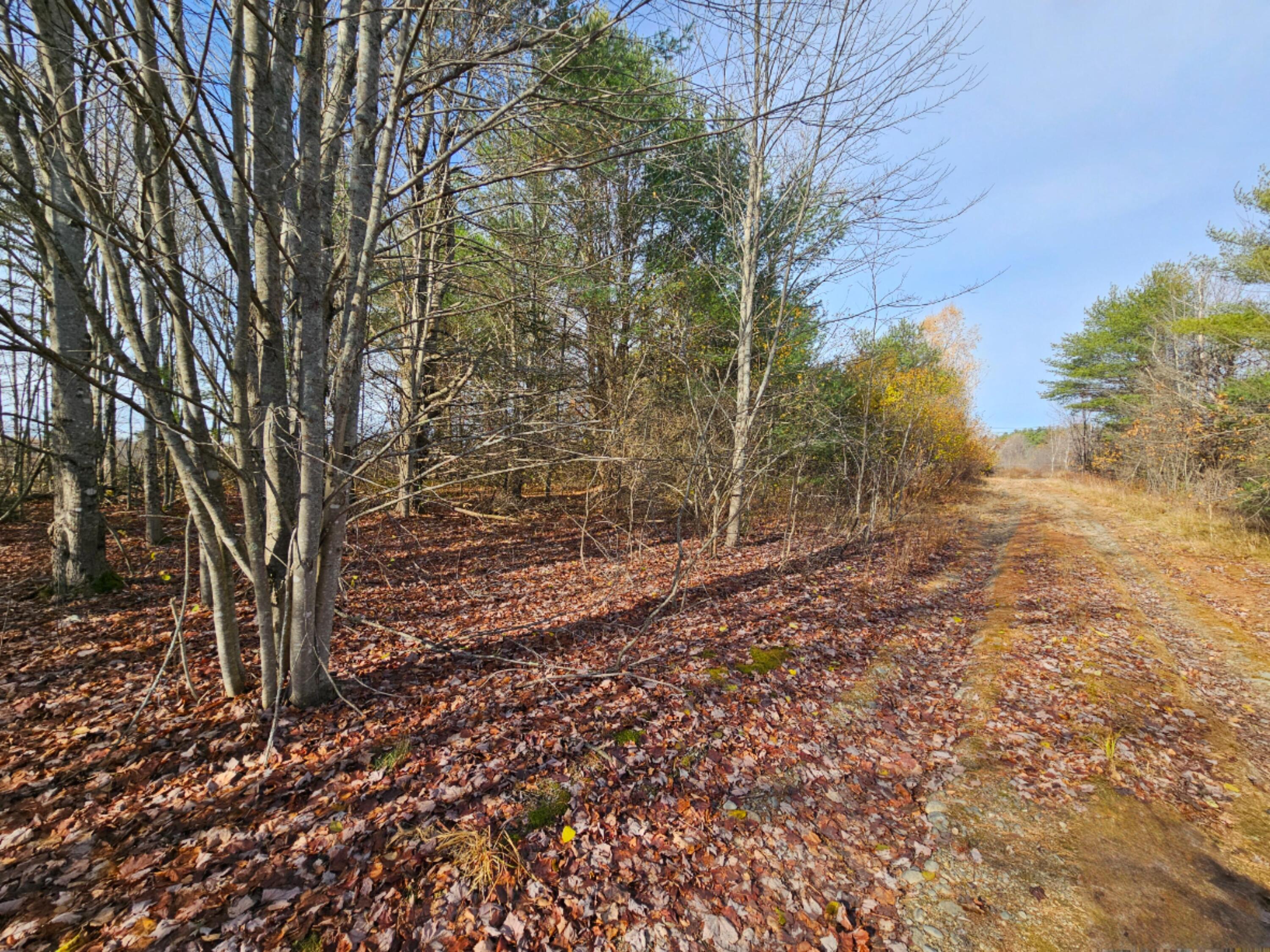 1 Main Street Palmyra, ME 04965 - Photo 7 of 25 20251112_110248