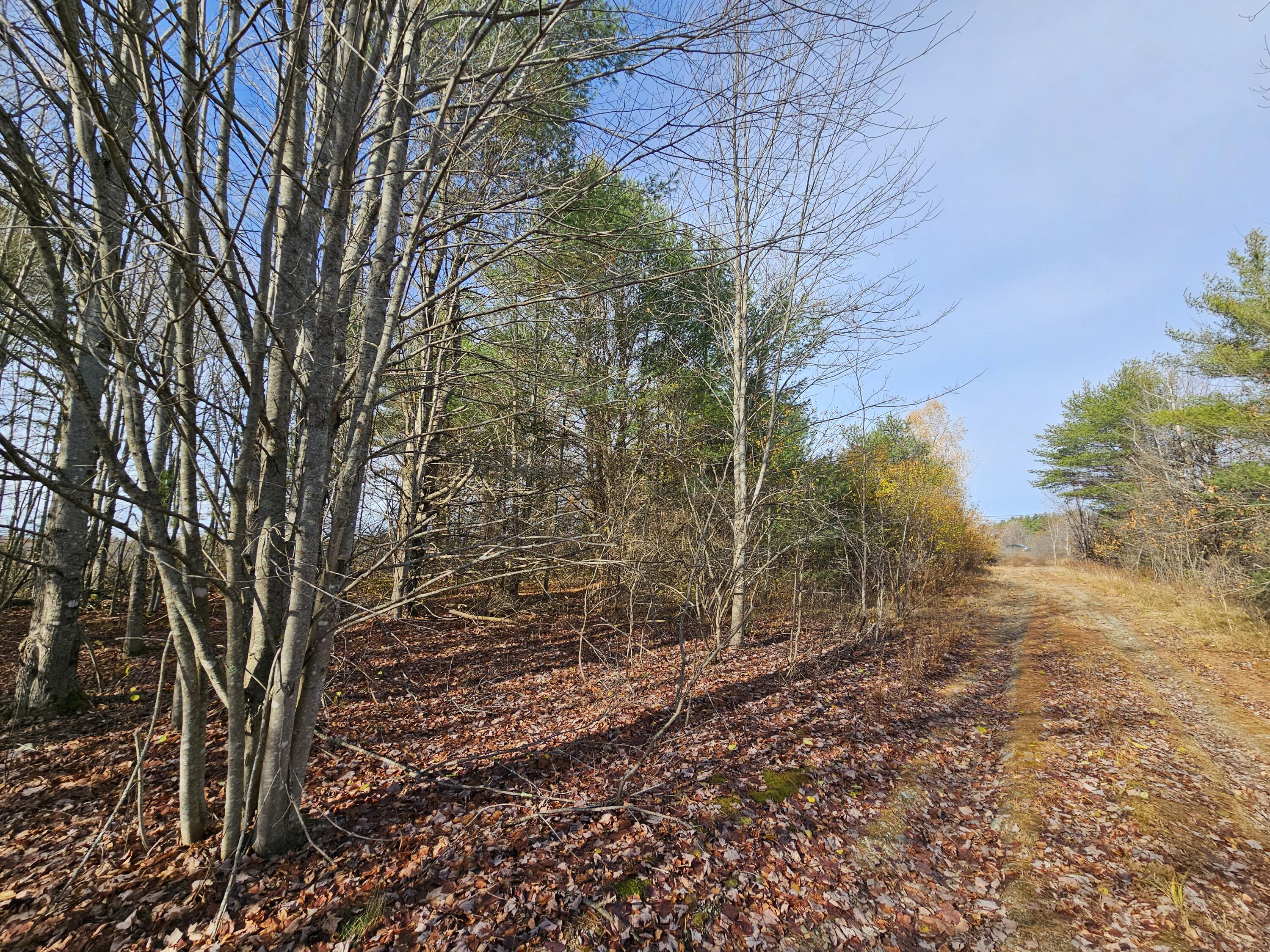 1 Main Street Palmyra, ME 04965 - Photo 8 of 25 20251112_110250