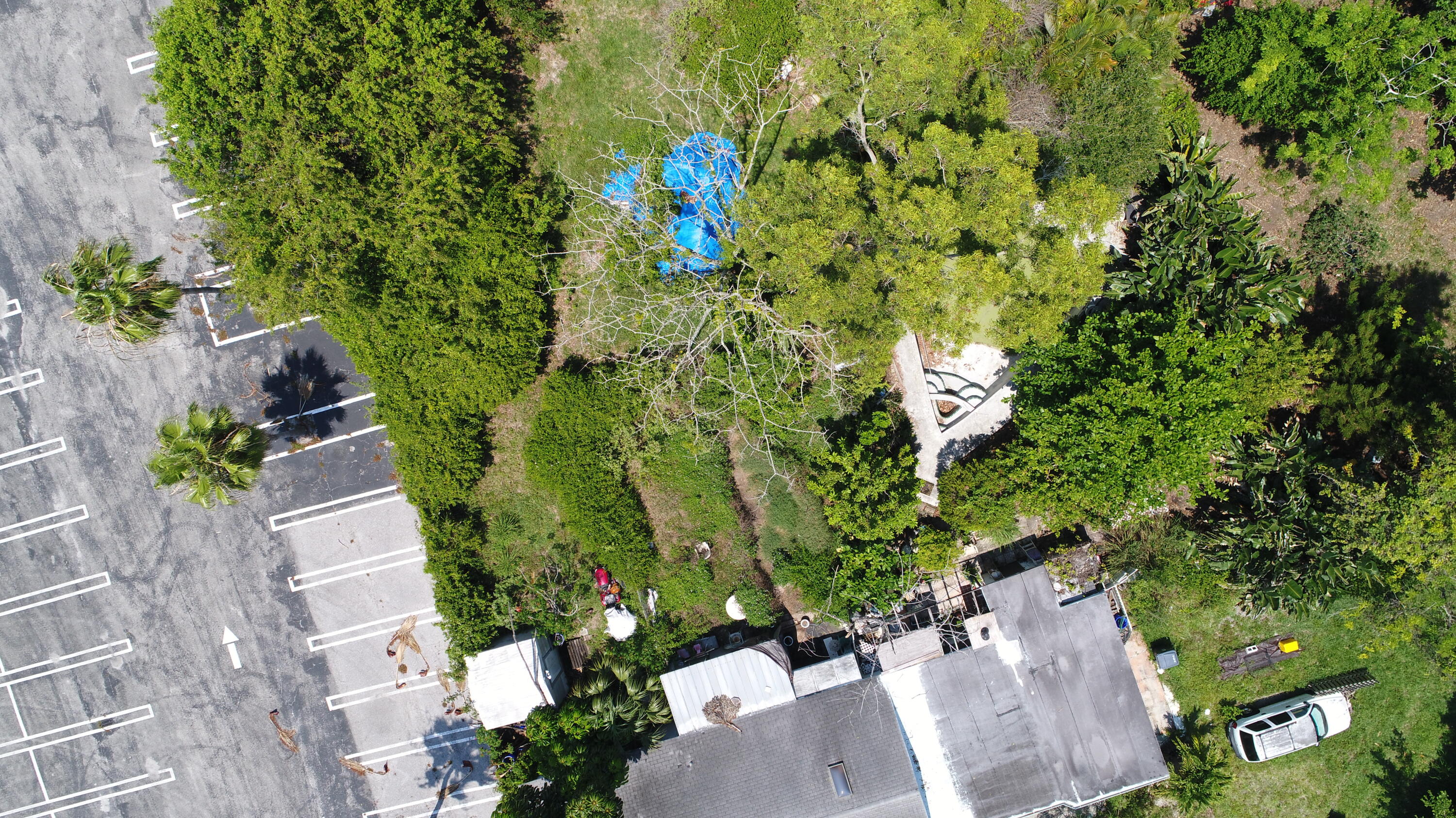 4787 Coconut Road Lake Worth, FL 33461 - Photo 3 of 6 Back Yard Aerial