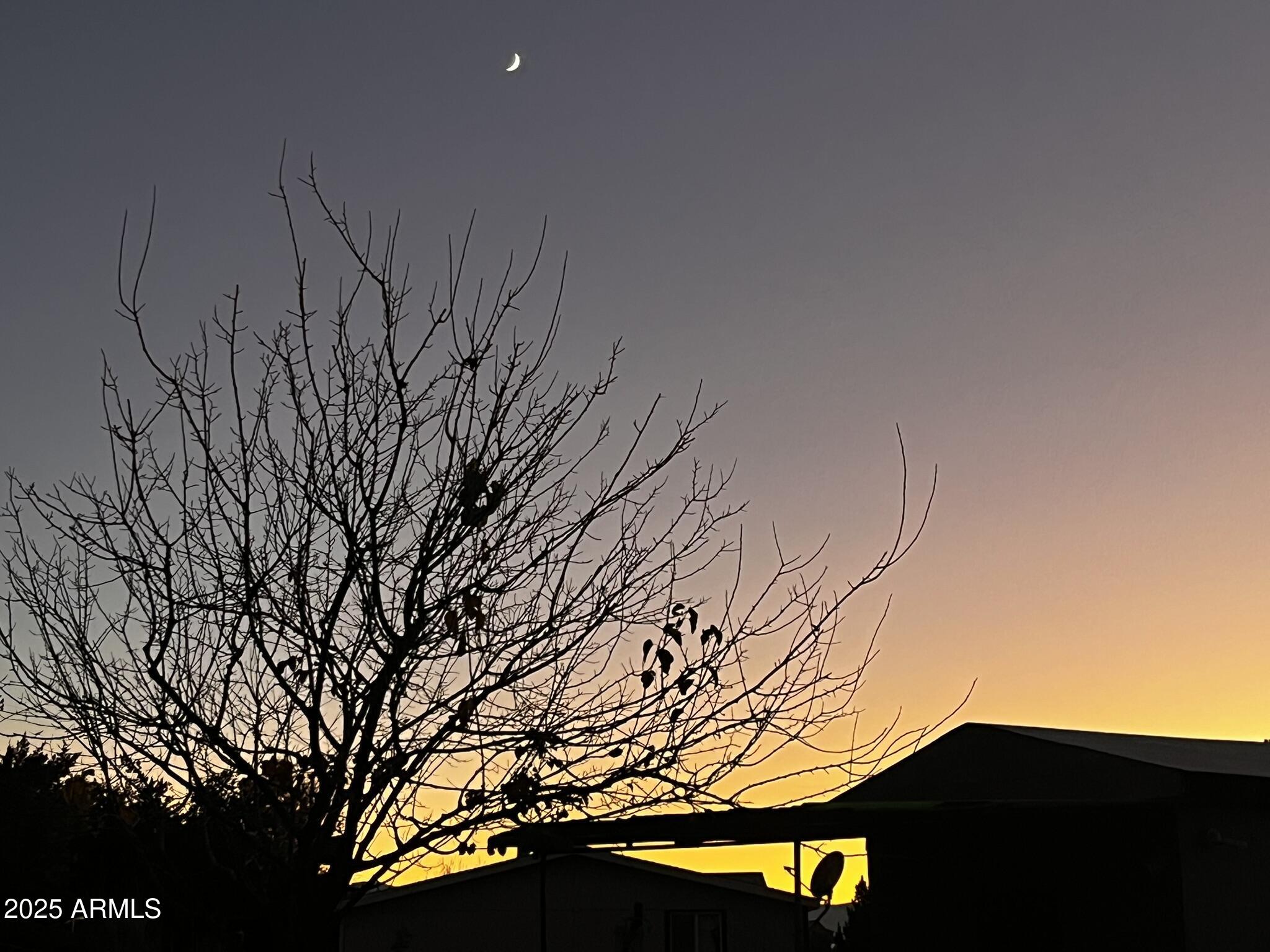5943 North Bordeaux Road Rimrock, AZ 86335 - Photo 33 of 38 a view of tree in front of house