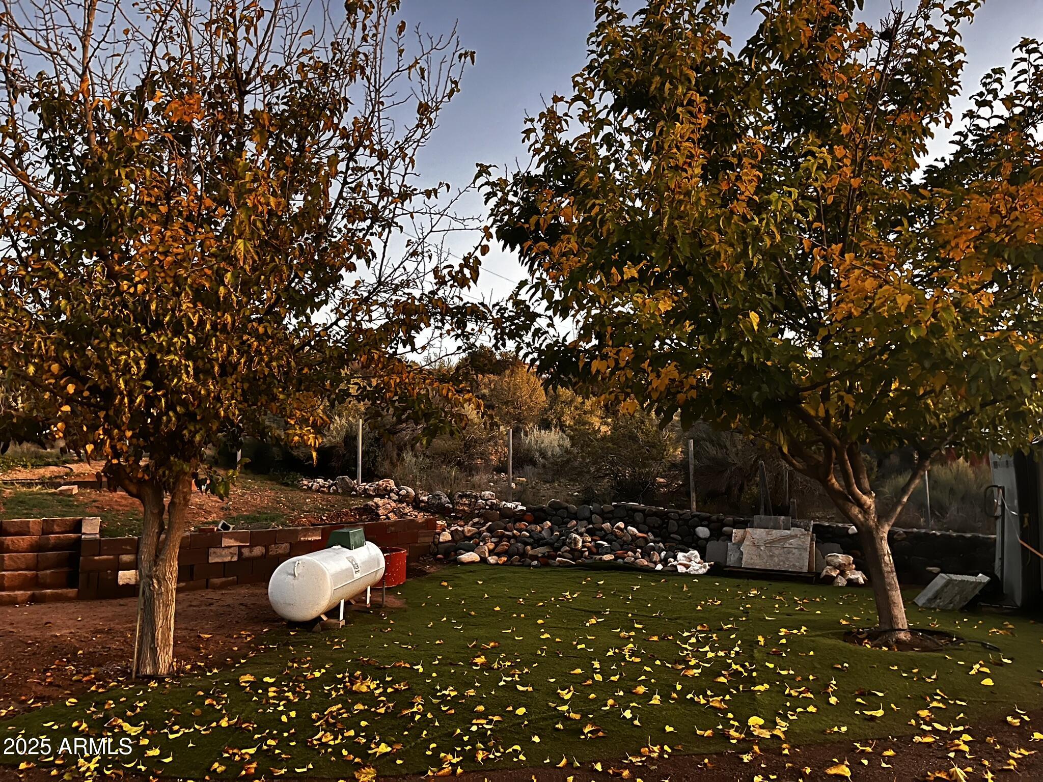 5943 North Bordeaux Road Rimrock, AZ 86335 - Photo 34 of 38 a view of a tree in a yard
