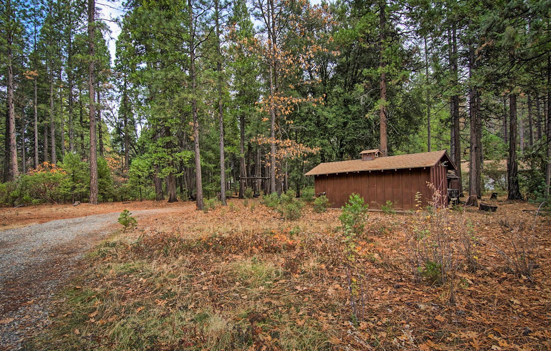 7839 Eastmoore Road Shingletown, CA 96088 - Photo 35 of 47 eastmore-119