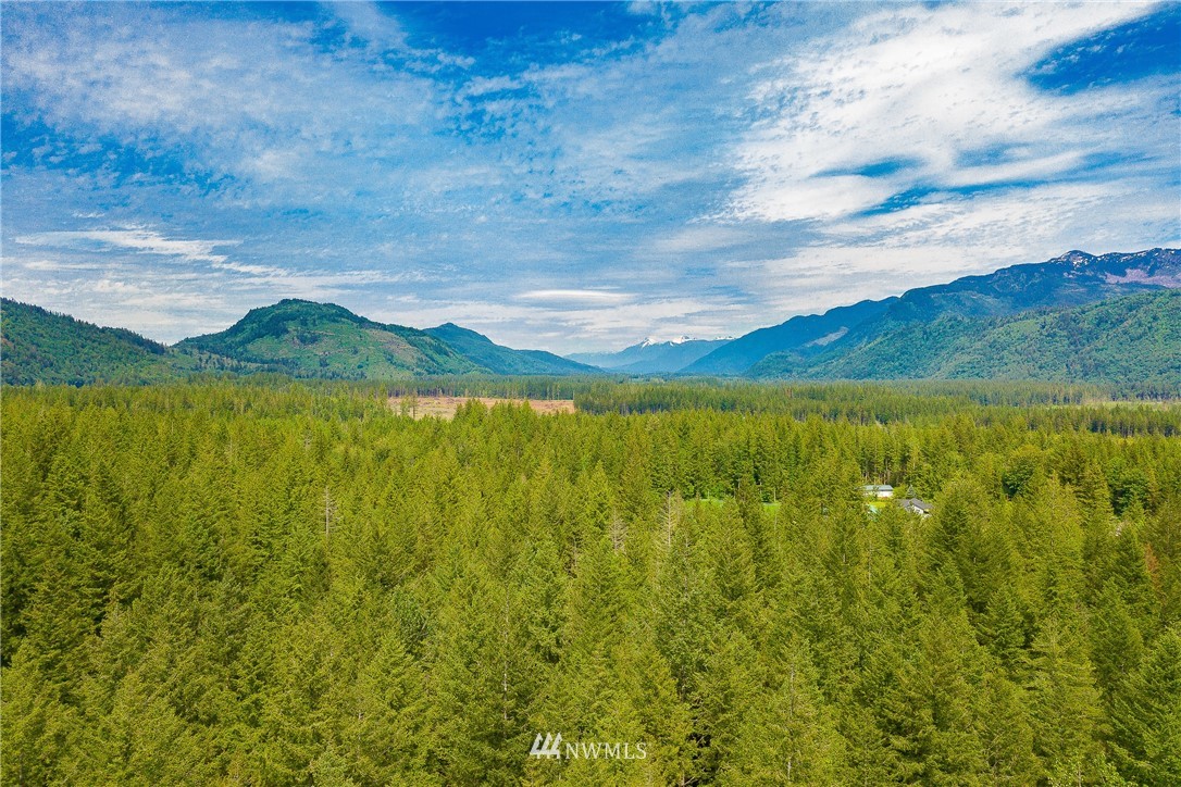 8980 Kendall Road Sumas, WA 98295 - Photo 39 of 39 a view of lake with mountain