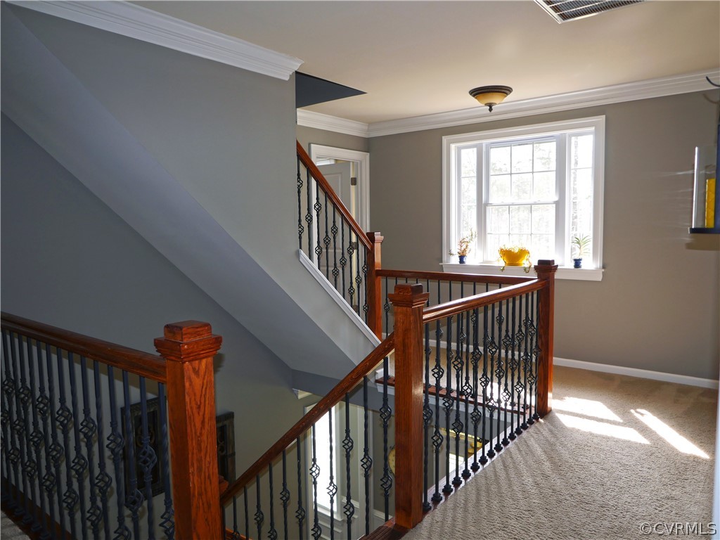 14028 Redhills Road Beaverdam, VA 23015 - Photo 22 of 32