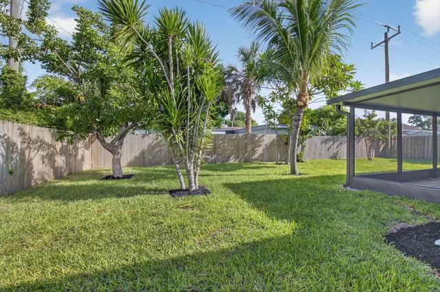 a view of a yard with a tree